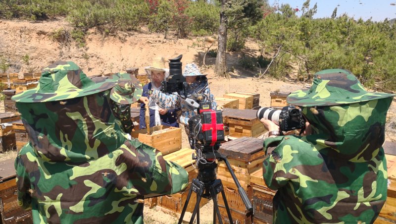 宣傳片制作腳本該如何寫(xiě)